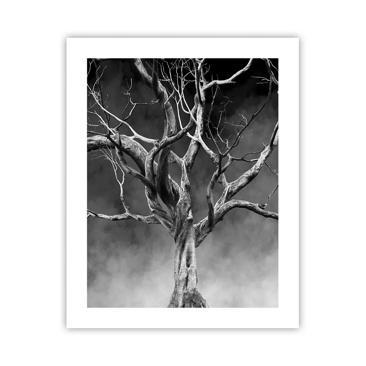 Poster - Oorspronkelijk en heilig - 40x50 cm