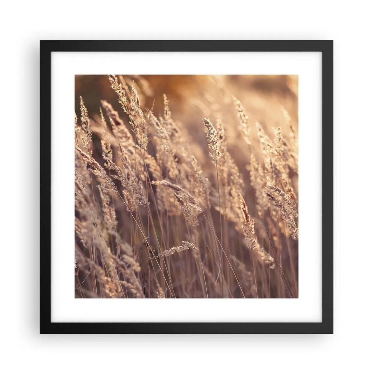Poster in een zwarte lijst - Klaar om de herfst te verwelkomen - 40x40 cm