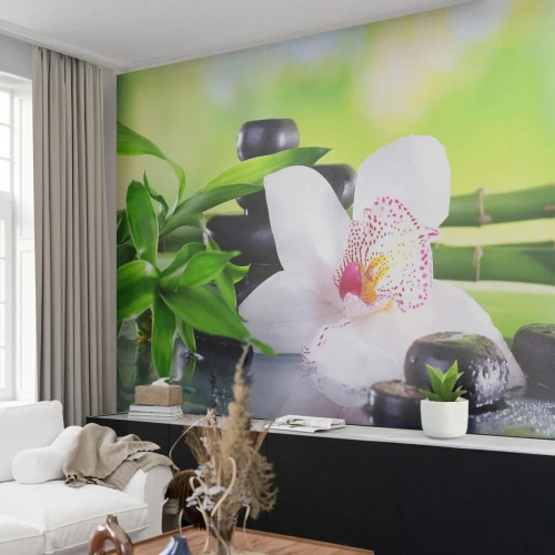 Fotobehang Premium Sand - Koele frisheid - Bamboe, Bloem, Orchidee - 350x256 cm