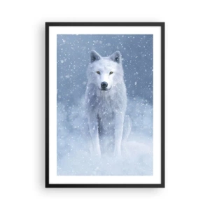 Poster in een zwarte lijst - Een witte wolf in een winterlandschap, omringd door sneeuw. - 50x70cm - In winterse sferen - Moderne wanddecoratie voor woonkamer en slaapkamer ARTTOR
