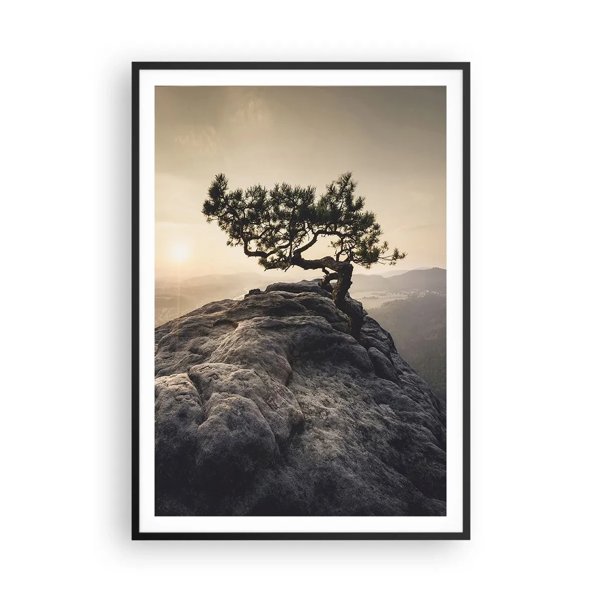 Poster in een zwarte lijst - Het leven wint altijd - 70x100 cm