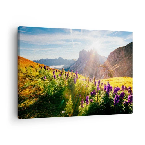 Schilderen op canvas - Berglandschap met bloemen in het licht van de opkomende zon - 70x50cm - Het geheime leven van kruiden - Moderne wanddecoratie voor woonkamer en slaapkamer ARTTOR