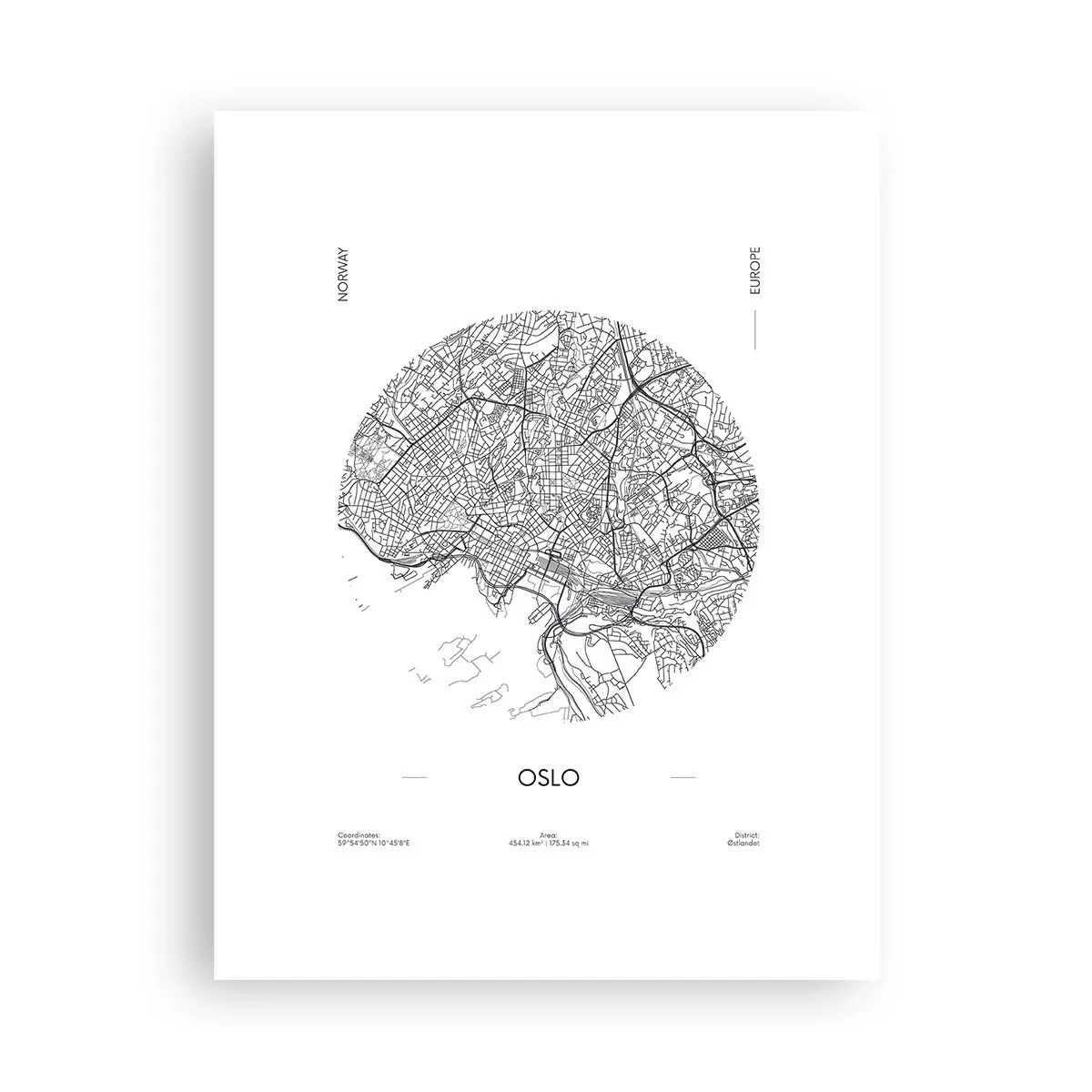 Poster - Anatomie van Oslo - 30x40 cm