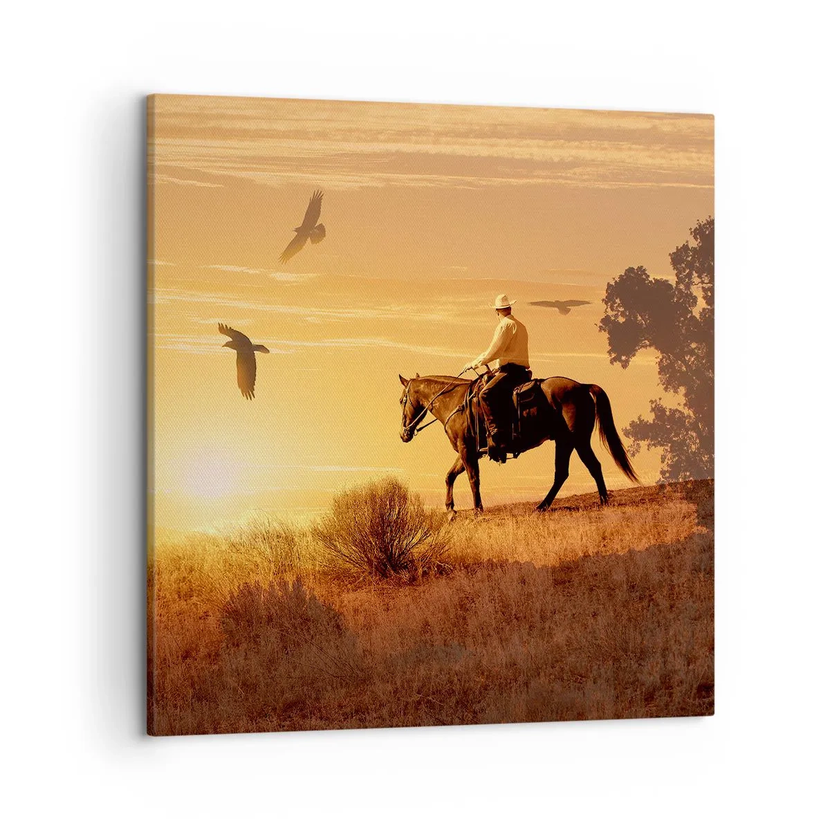 Schilderen op canvas - Alleen over de prairie - 50x50 cm
