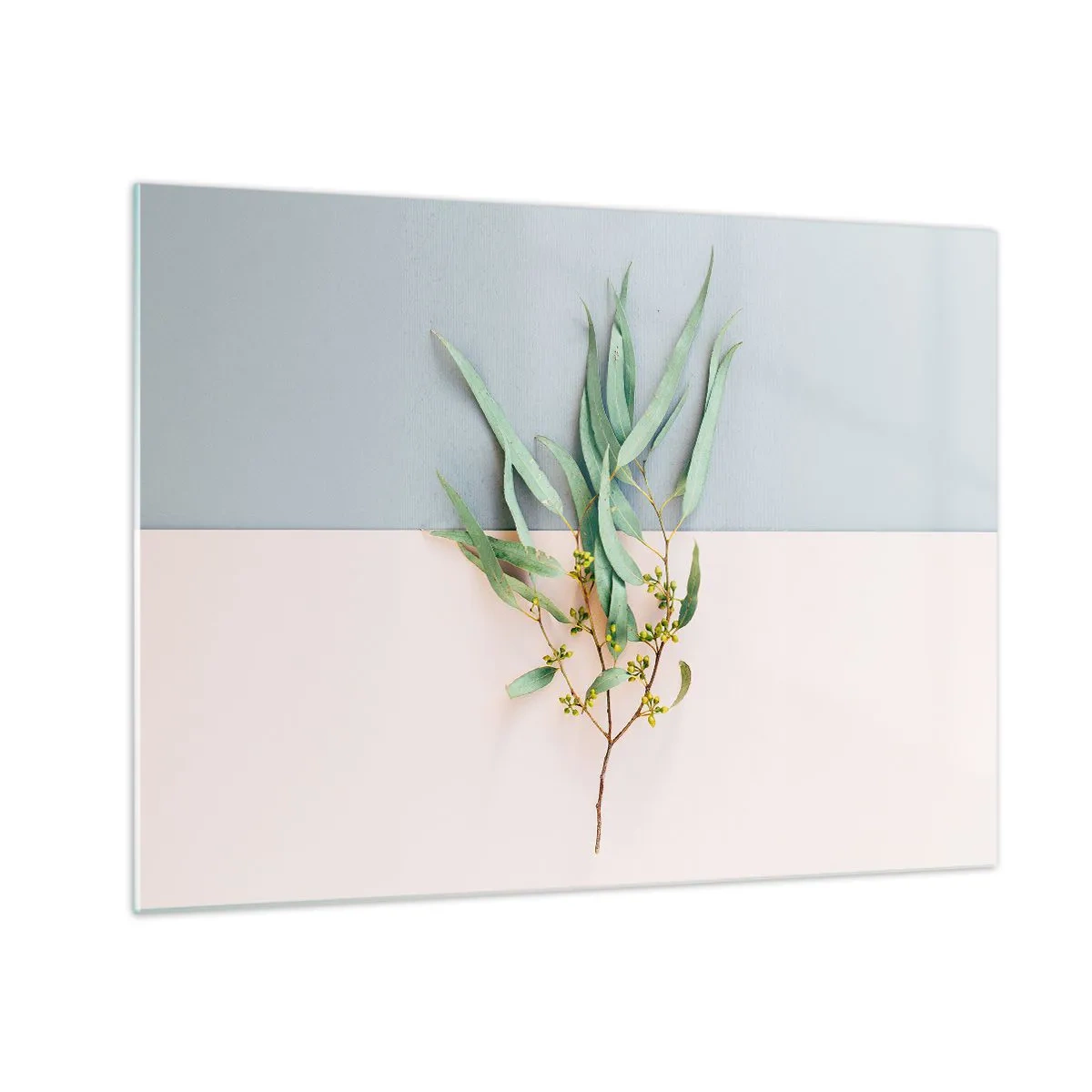Schilderen op glas - Een takje eucalyptus op een pastelkleurige achtergrond - 70x50cm - Subtiliteit in pastelkleuren - Moderne wanddecoratie voor woonkamer en slaapkamer ARTTOR