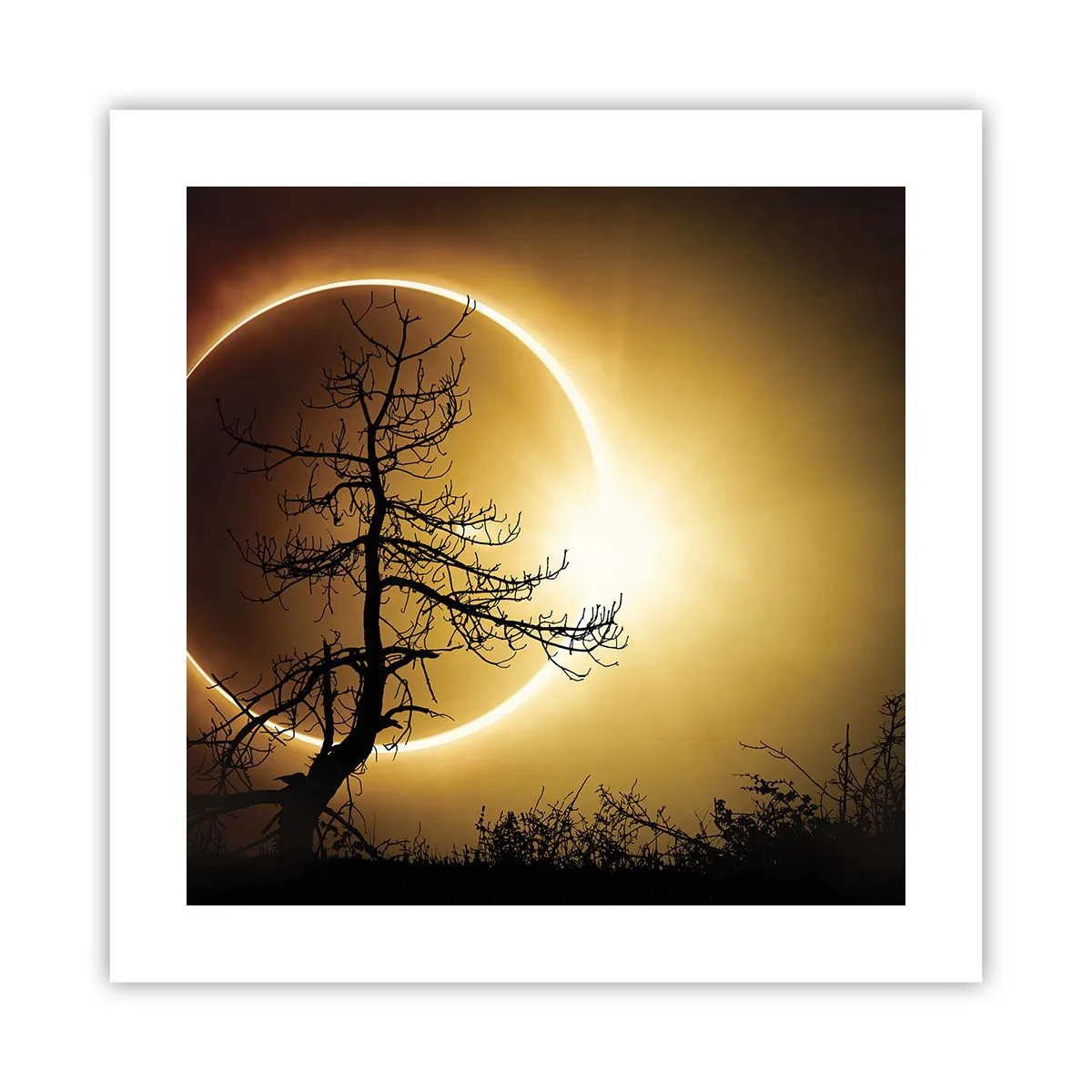 Poster - Totale zonsverduistering - 40x40 cm
