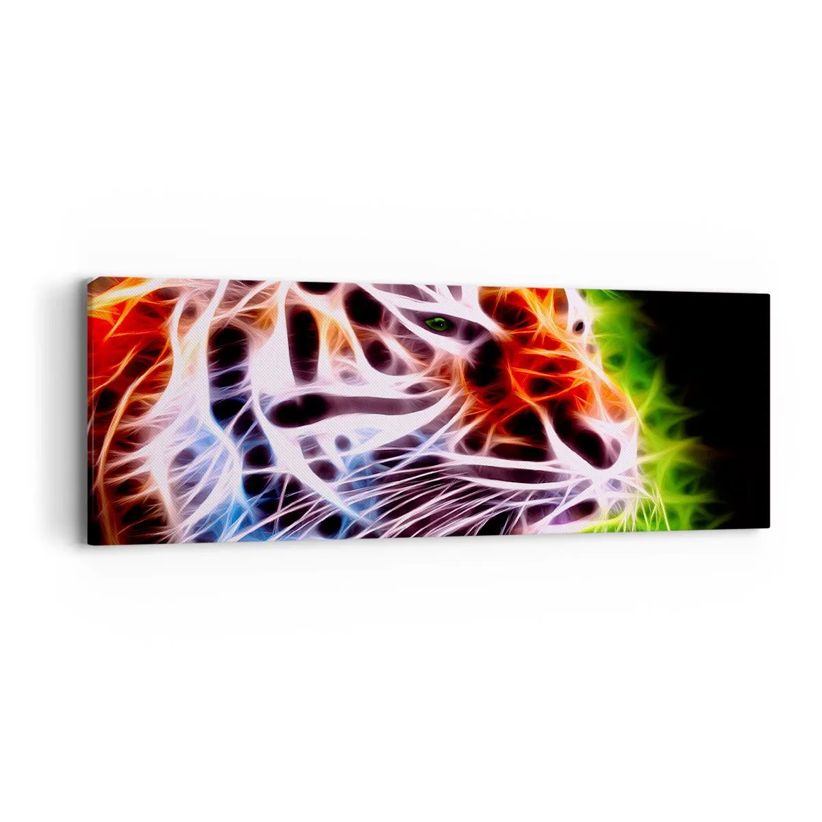 Schilderen op canvas - Vreselijke uitstraling - 90x30 cm