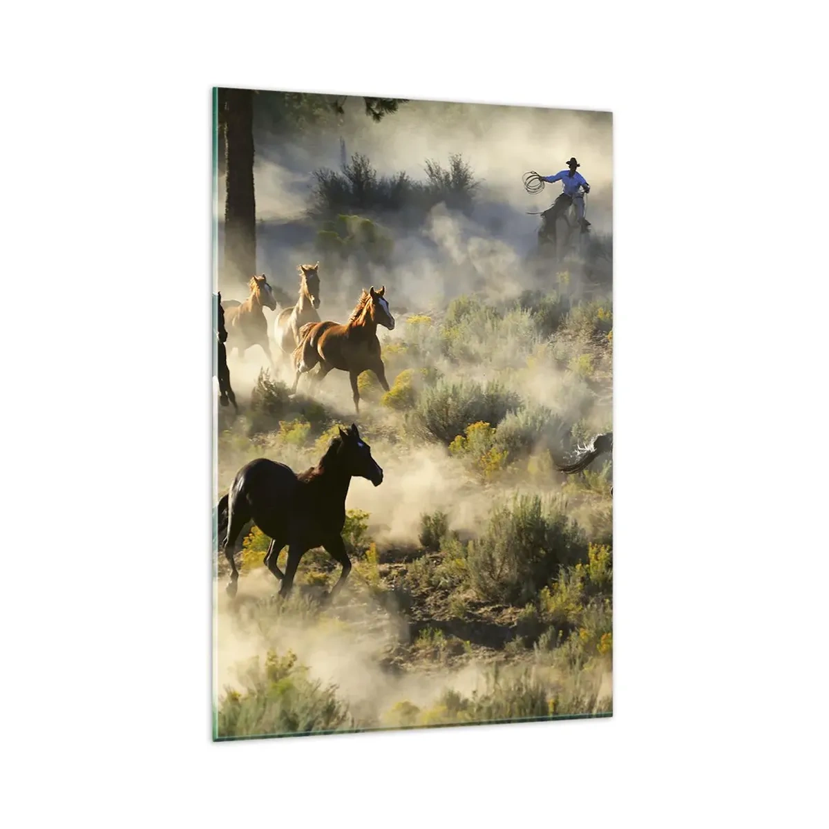 Schilderen op glas - Rivaliteit - vrijheid of mannelijke kracht? - 80x120 cm