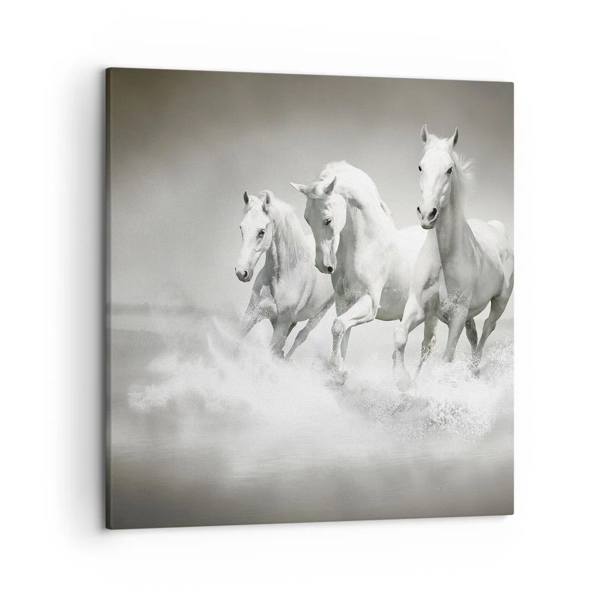 Schilderen op canvas - Witte waanzin - 50x50 cm