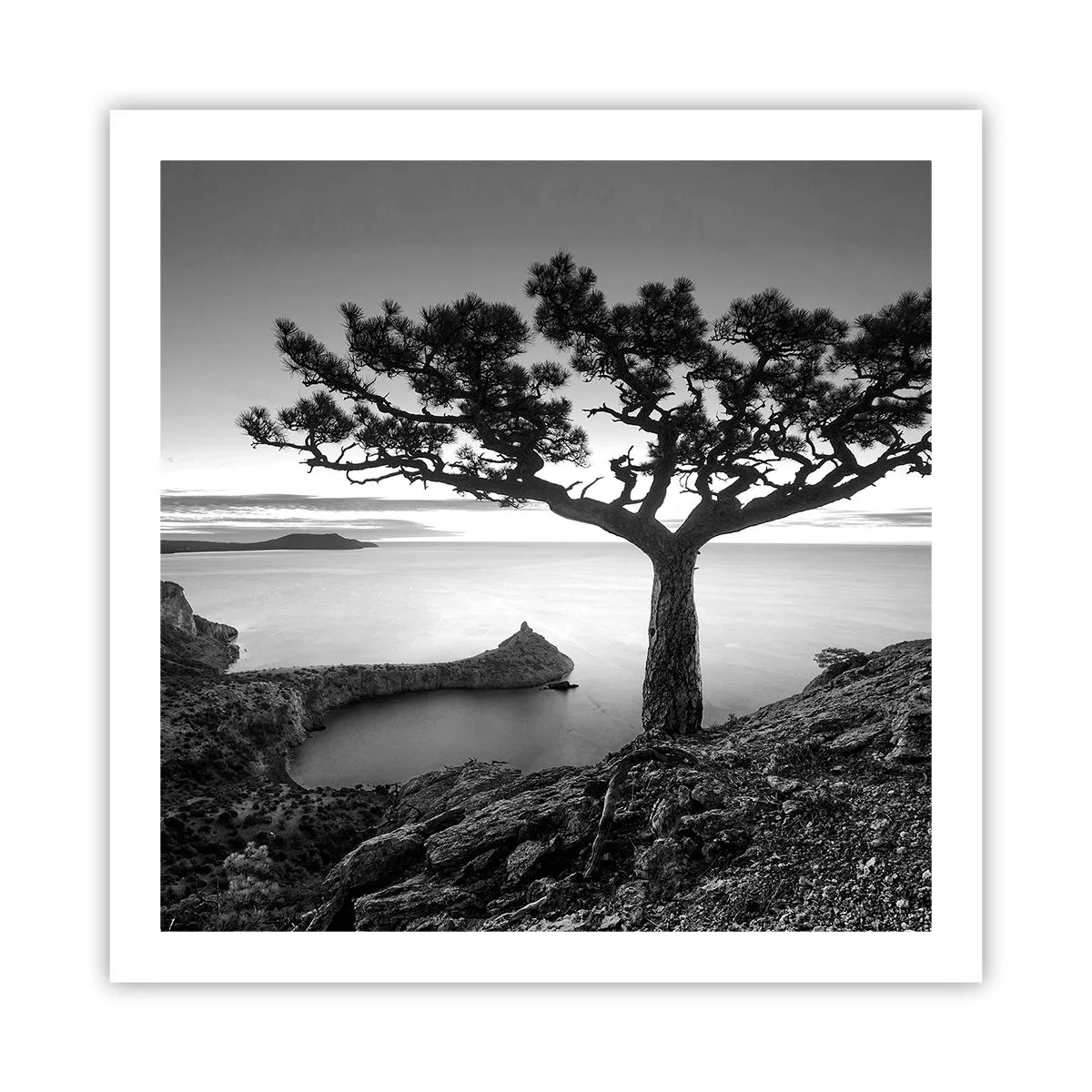 Poster - Stilte aan de horizon - 60x60 cm