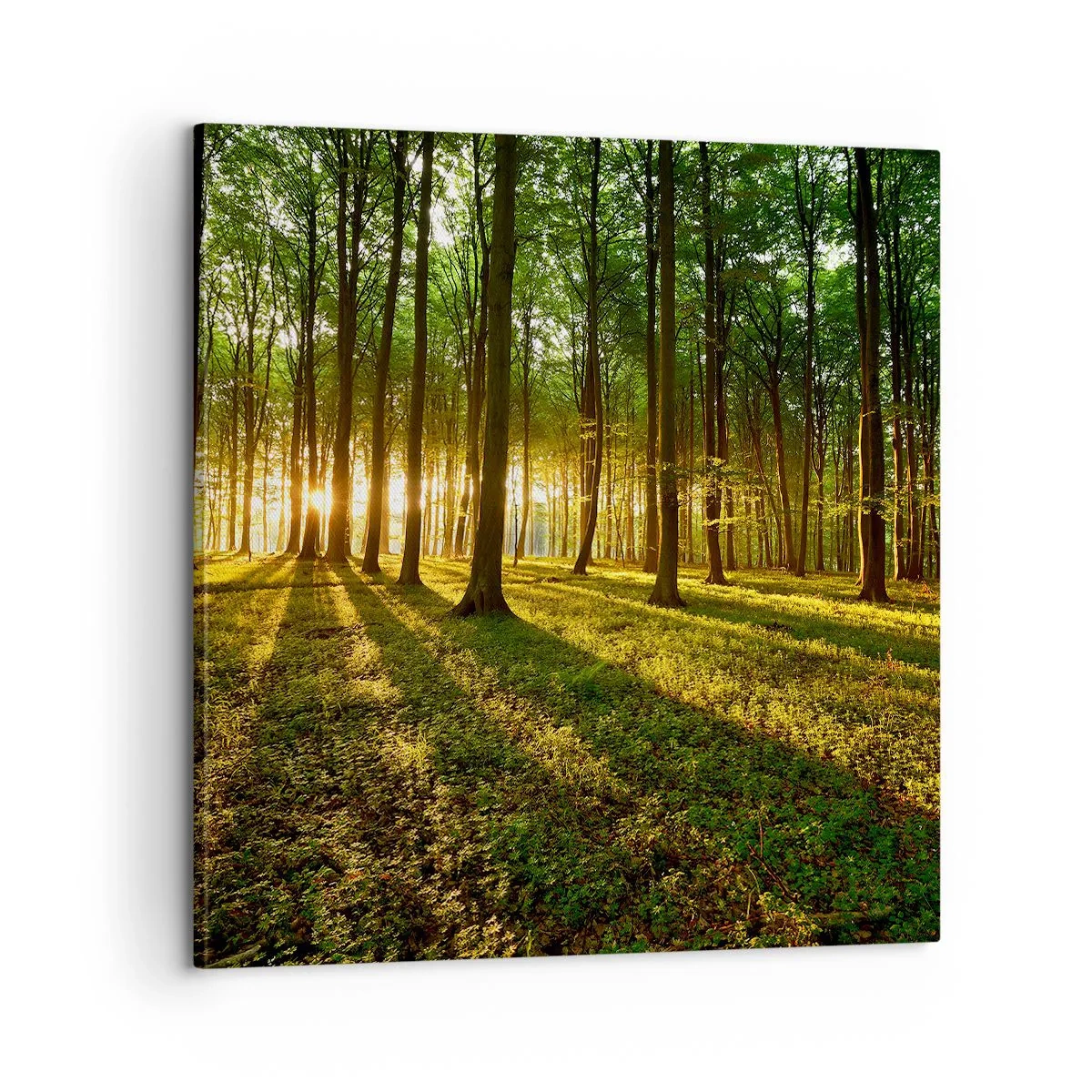 Schilderen op canvas - Foto van de hele lente - 60x60 cm
