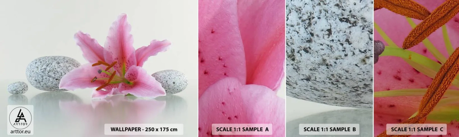 Fotobehang Staaltje Standard Eco - Een studie in roze, grijs en wit - Bloemen, Lelie, Stenen - 100x30 cm