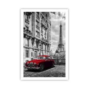 Poster - Roofdier in de stad - 61x91 cm