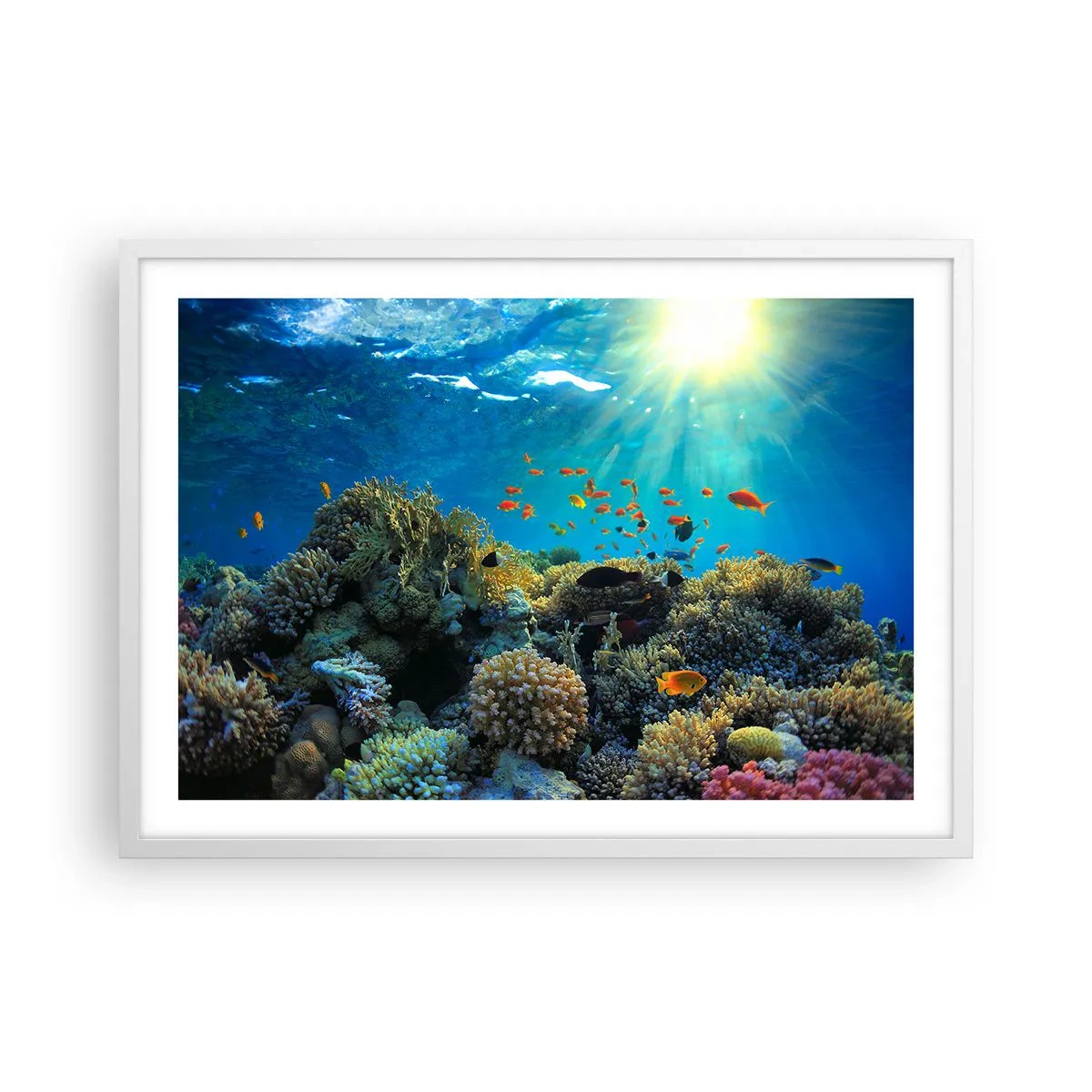 Poster in een witte lijst - Onderwater schatten - 70x50 cm
