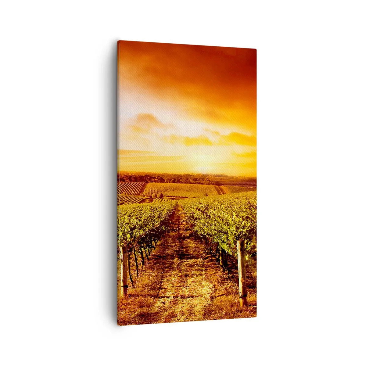 Schilderen op canvas - Licht fruitig met een vleugje zonneschijn - 55x100 cm