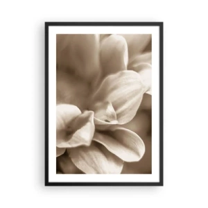 Poster in een zwarte lijst - Een close-up van delicate sepia-getinte bloemblaadjes - 50x70cm - Zo zacht als een glimlach - Moderne wanddecoratie voor woonkamer en slaapkamer ARTTOR