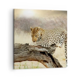 Schilderen op canvas - Ik ga mijn eigen weg - 60x60 cm