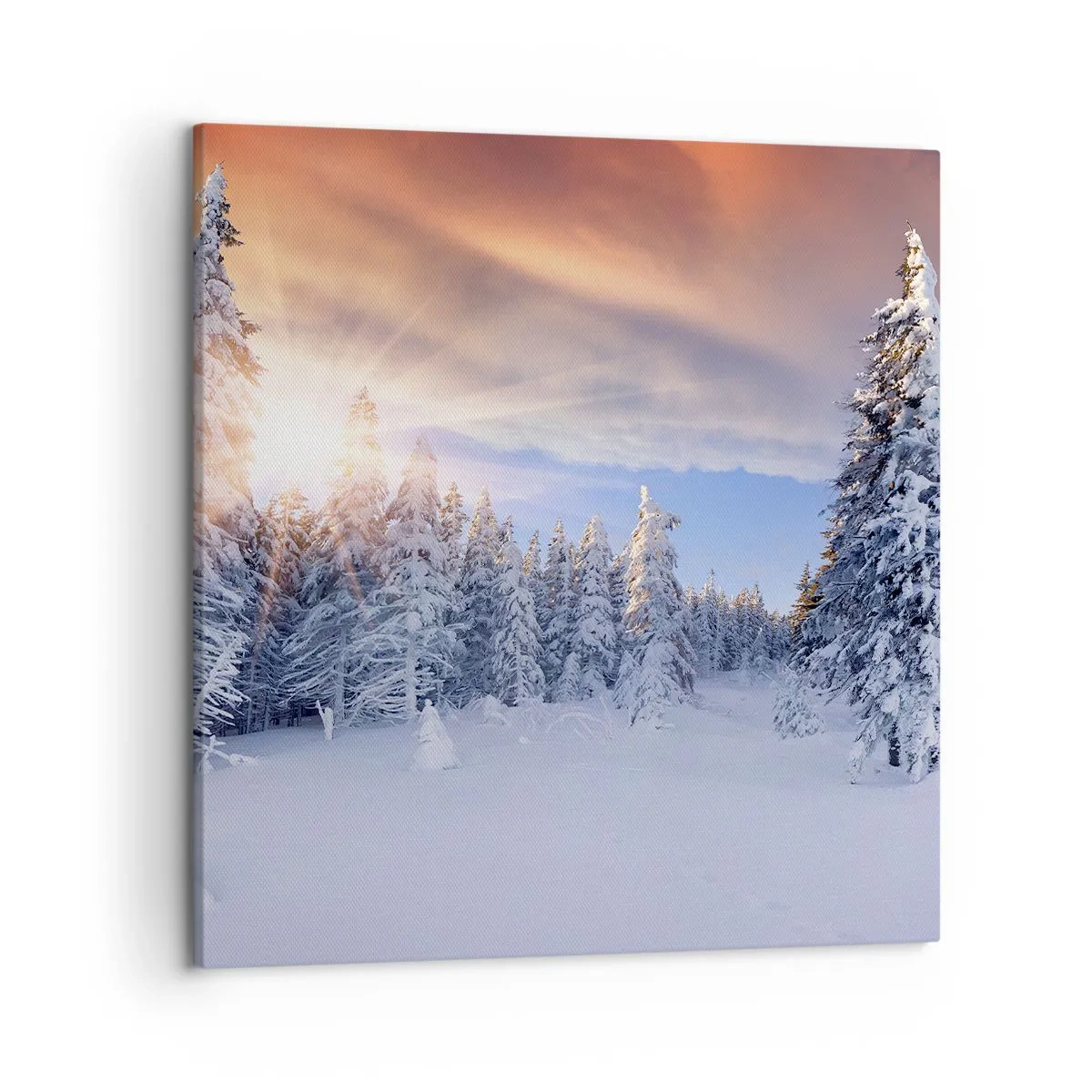 Schilderen op canvas - Het sneeuwspektakel van de natuur - 50x50 cm