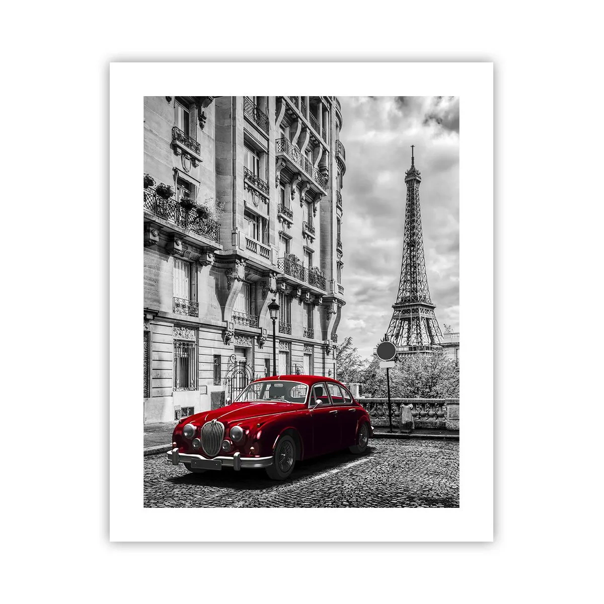 Poster - Roofdier in de stad - 40x50 cm