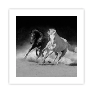 Poster - Vrijheidsgalop - 40x40 cm