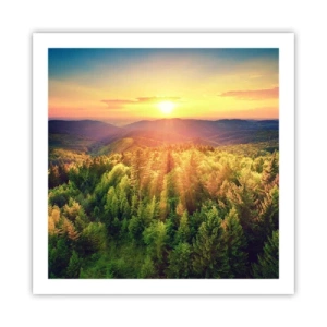 Poster - Hoekpunten en topjes - 60x60 cm