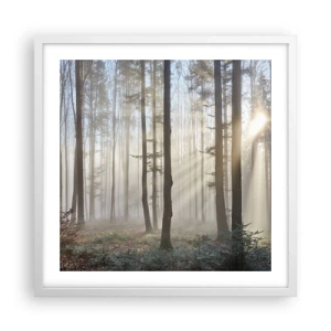 Poster in een witte lijst - De mist werd ook wakker - 50x50 cm