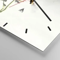 Dash schild