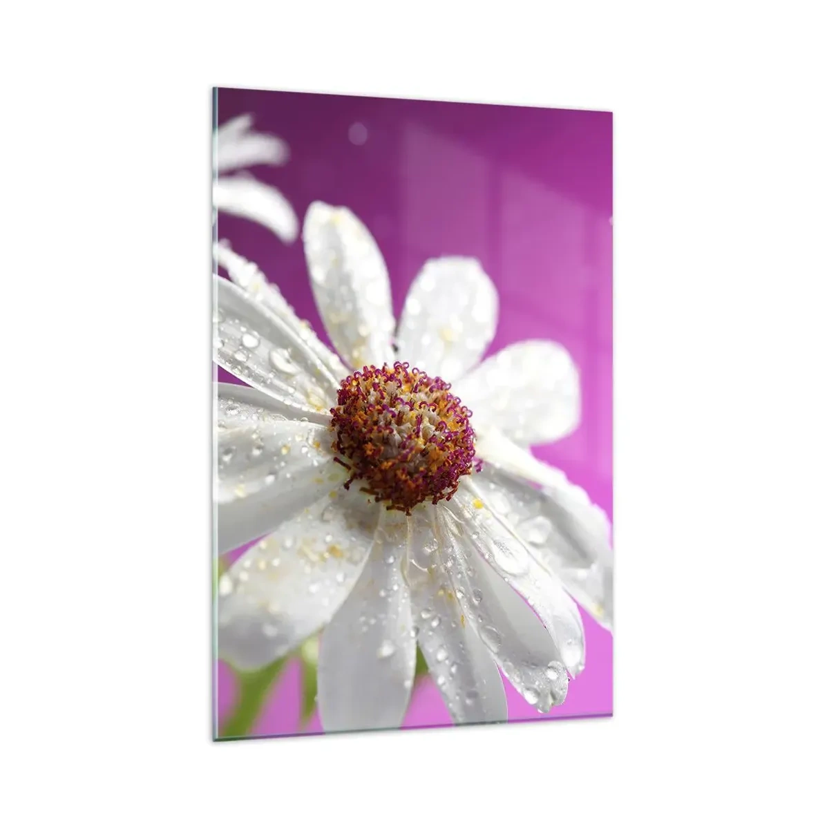 Schilderen op glas - Bescheiden in zijn schoonheid - 80x120 cm