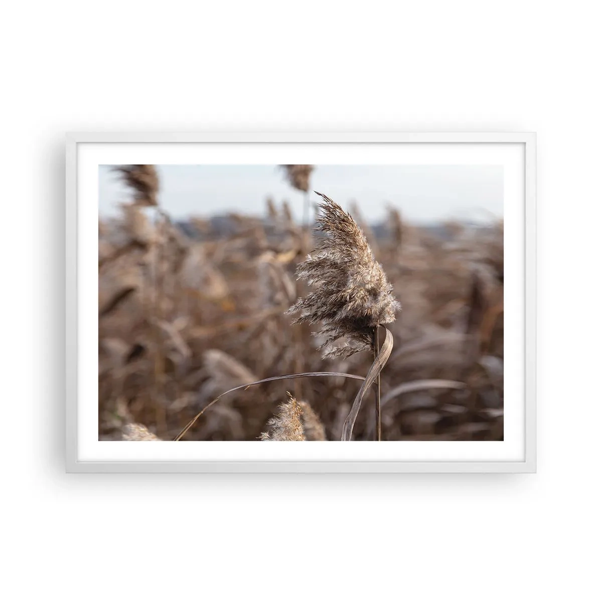 Poster in een witte lijst - Tijd om met de wind mee te gaan - 70x50 cm