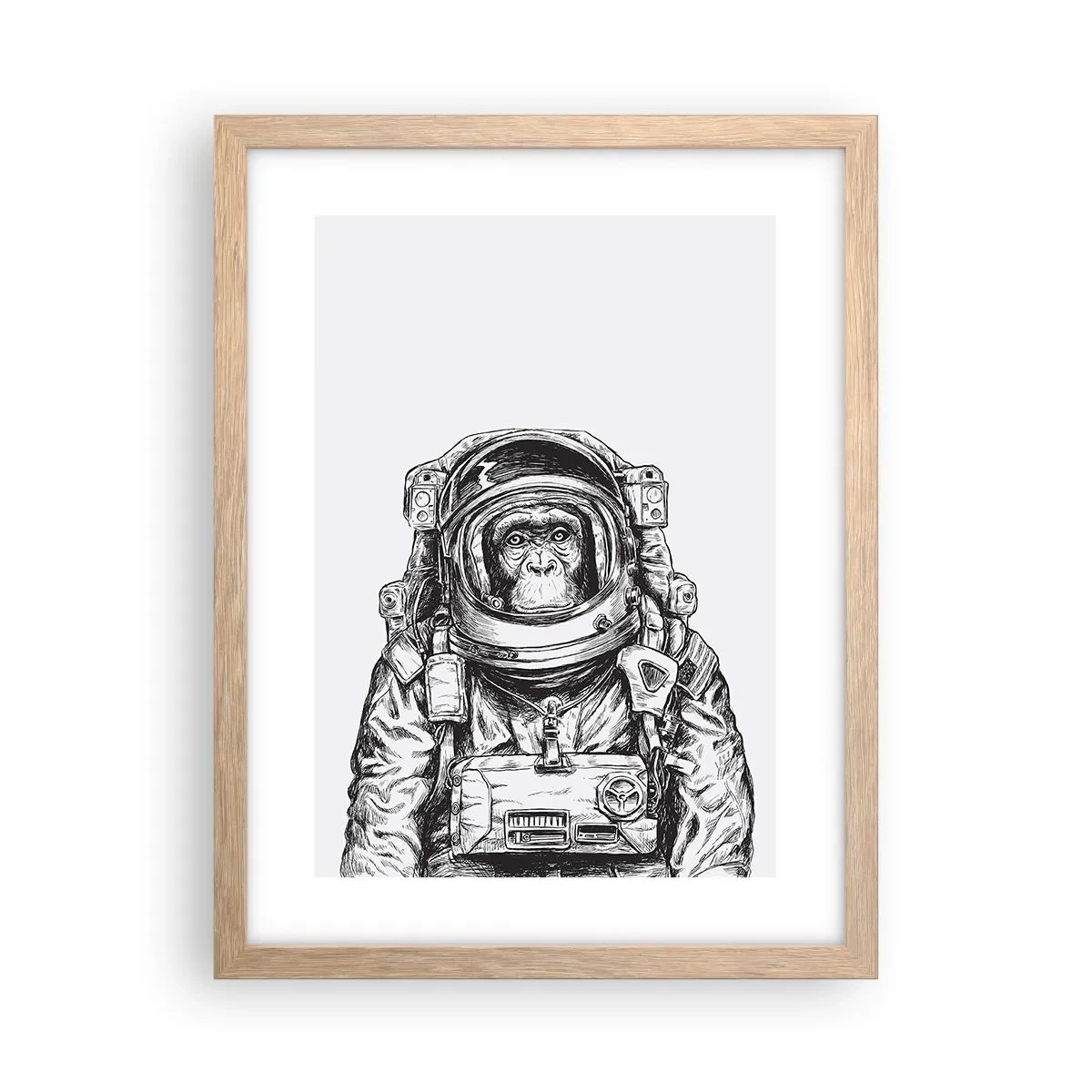 Een poster in een licht eiken lijst - Alternatieve evolutie - 30x40 cm