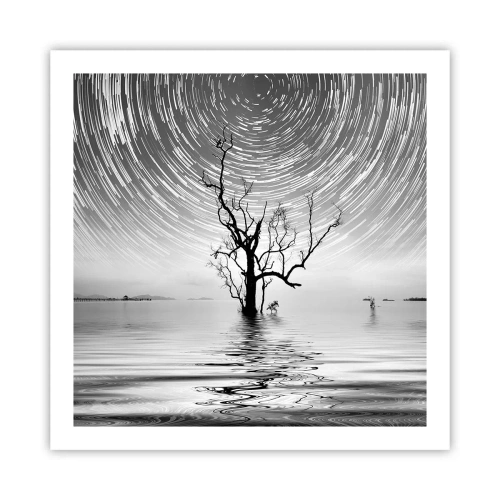 Poster - Een symfonie van de natuur - 60x60 cm