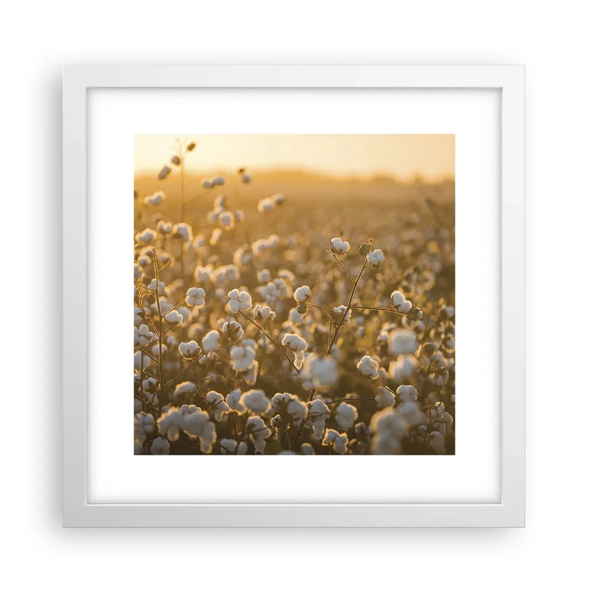 Poster in een witte lijst - Pluizig veld - 30x30 cm