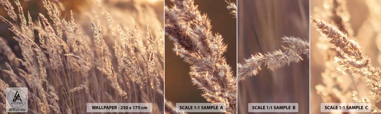 Fotobehang Staaltje Standard Eco - Klaar om de herfst te verwelkomen - Landschap, Oren van graan, Wei - 100x30 cm