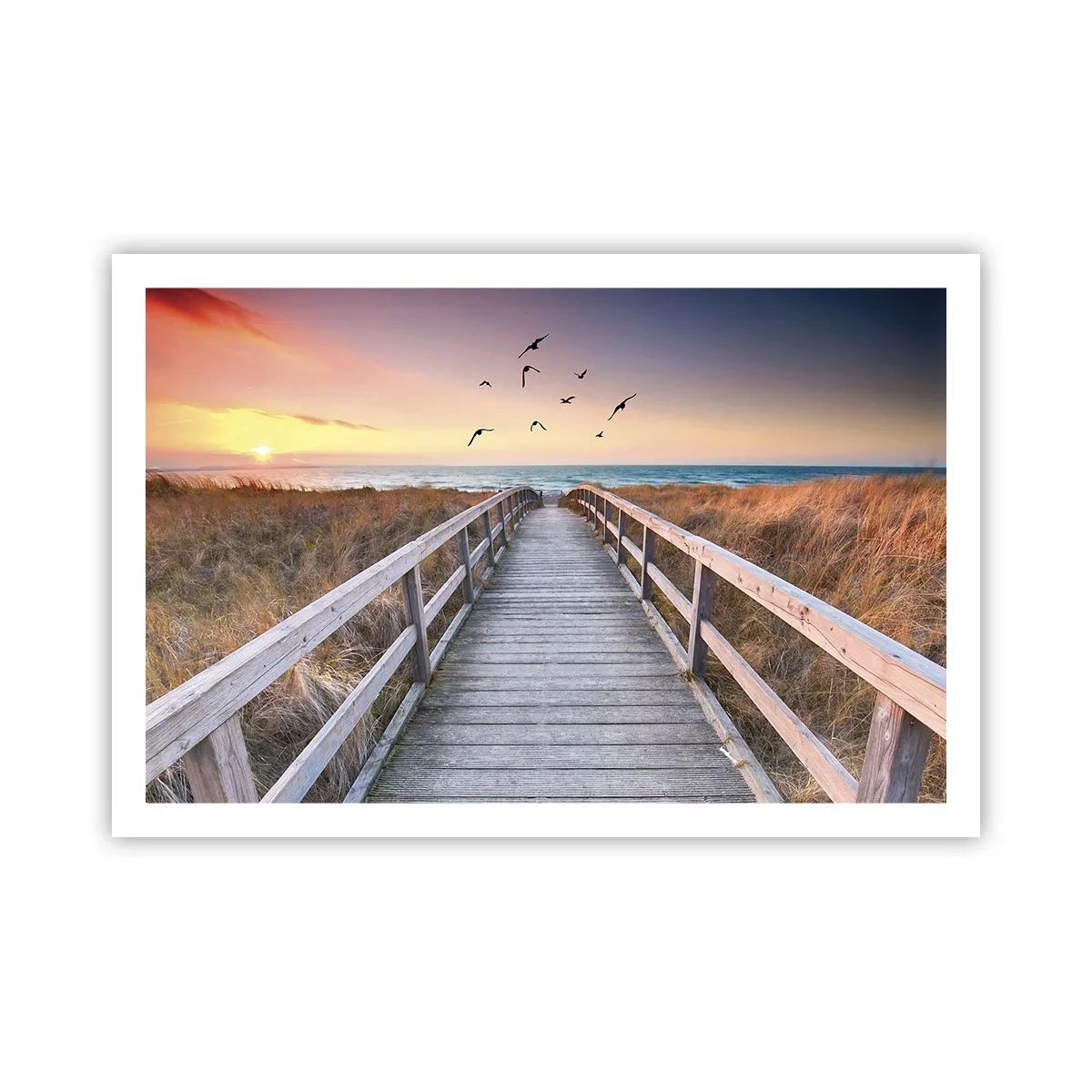 Poster - De ruimte voor opvliegen - 91x61 cm