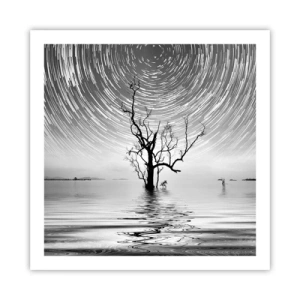 Poster - Een symfonie van de natuur - 60x60 cm
