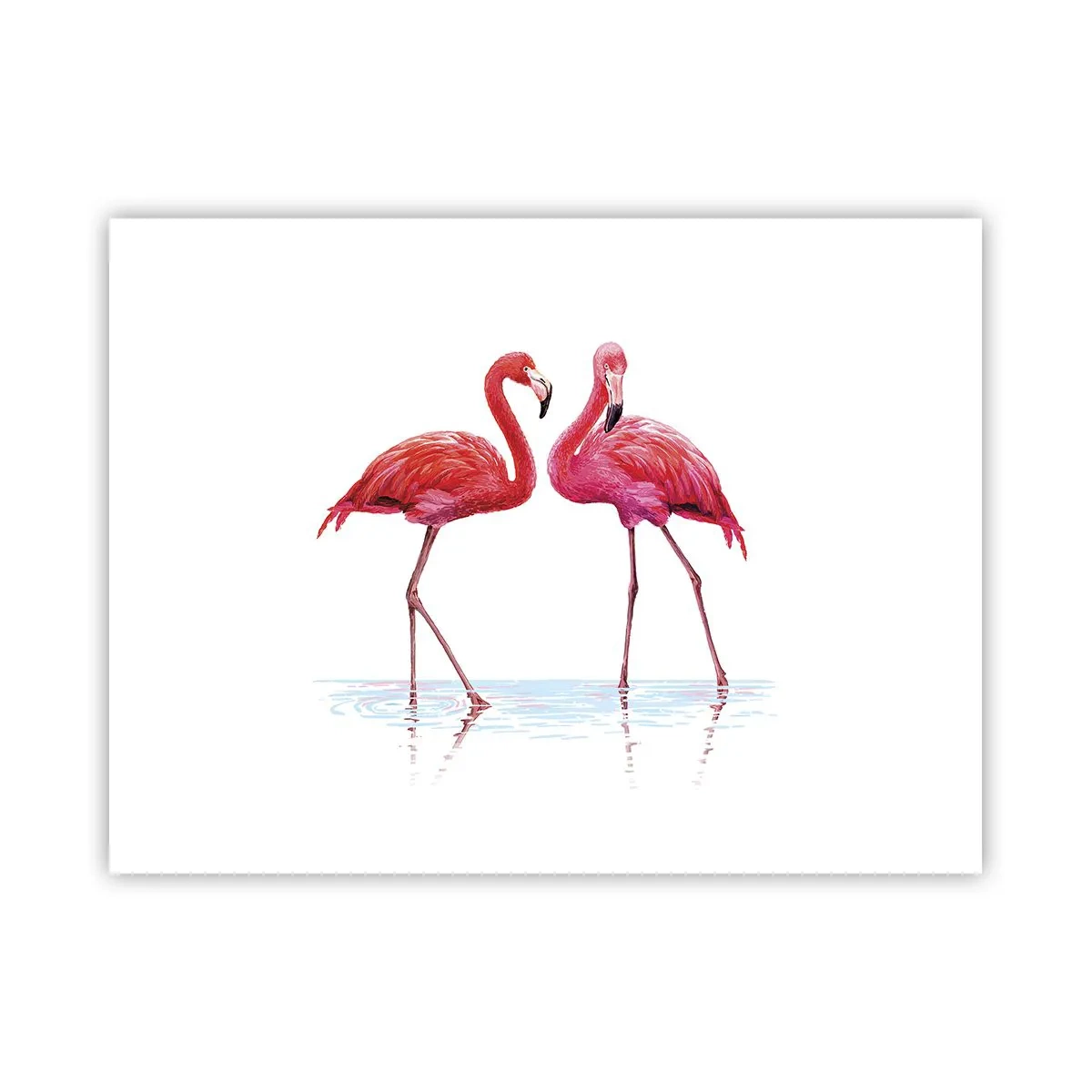 Poster - Roze randez-vous - 40x30 cm