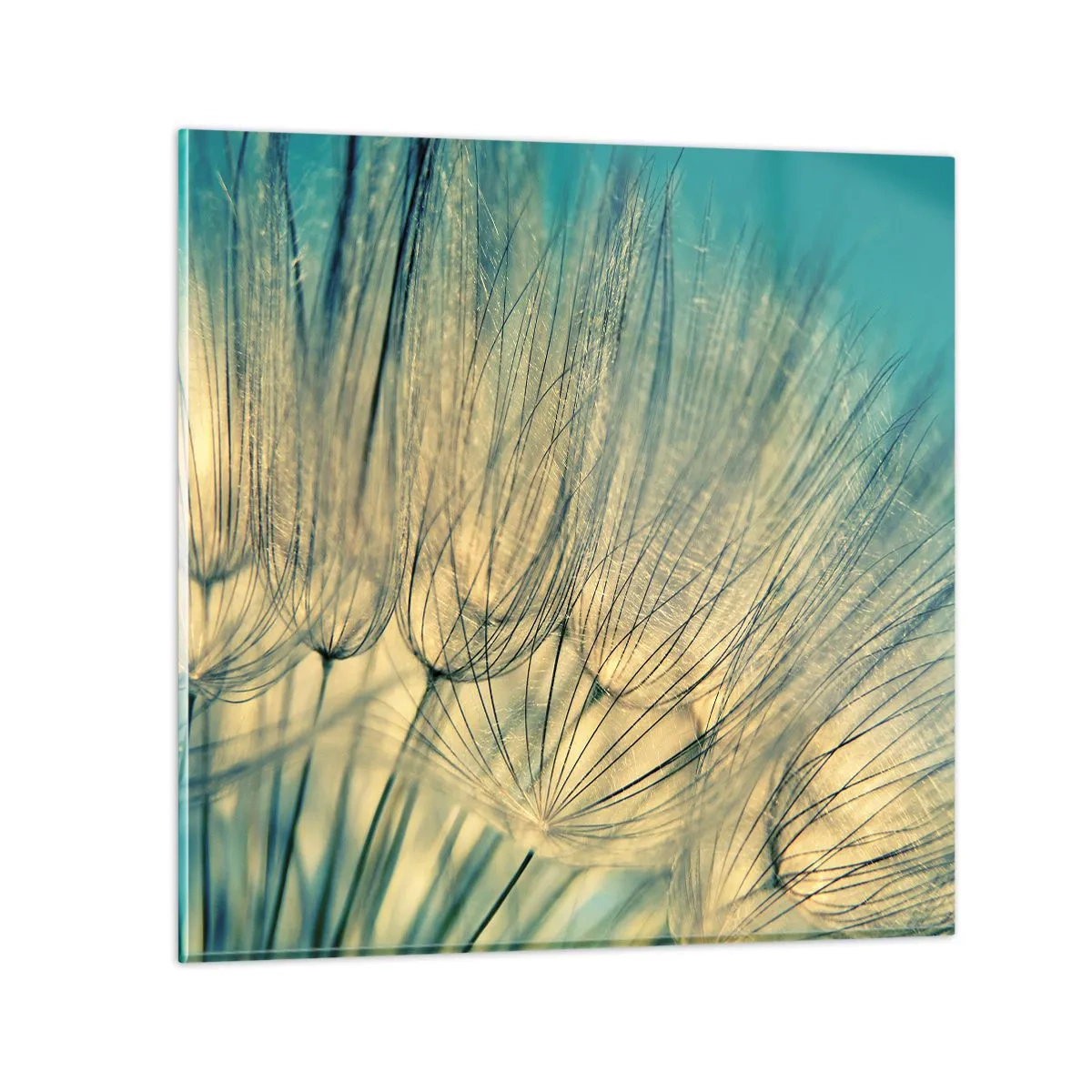 Schilderen op glas - In afwachting van de wind - 70x70 cm
