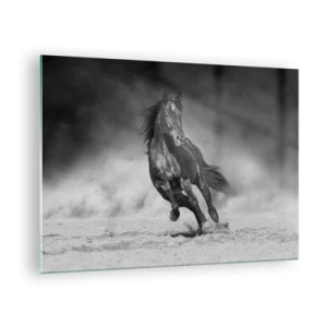 Schilderen op glas - Een zwart paard galoppeert over het zand, in zwart-wit. - 70x50cm - De emir zelf waardig - Moderne wanddecoratie voor woonkamer en slaapkamer ARTTOR