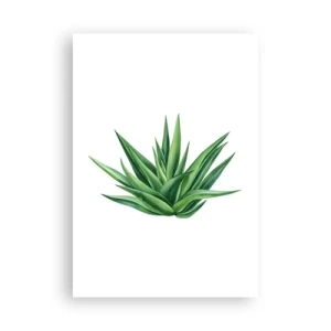 Poster - Groen – kracht – leven - 70x100 cm