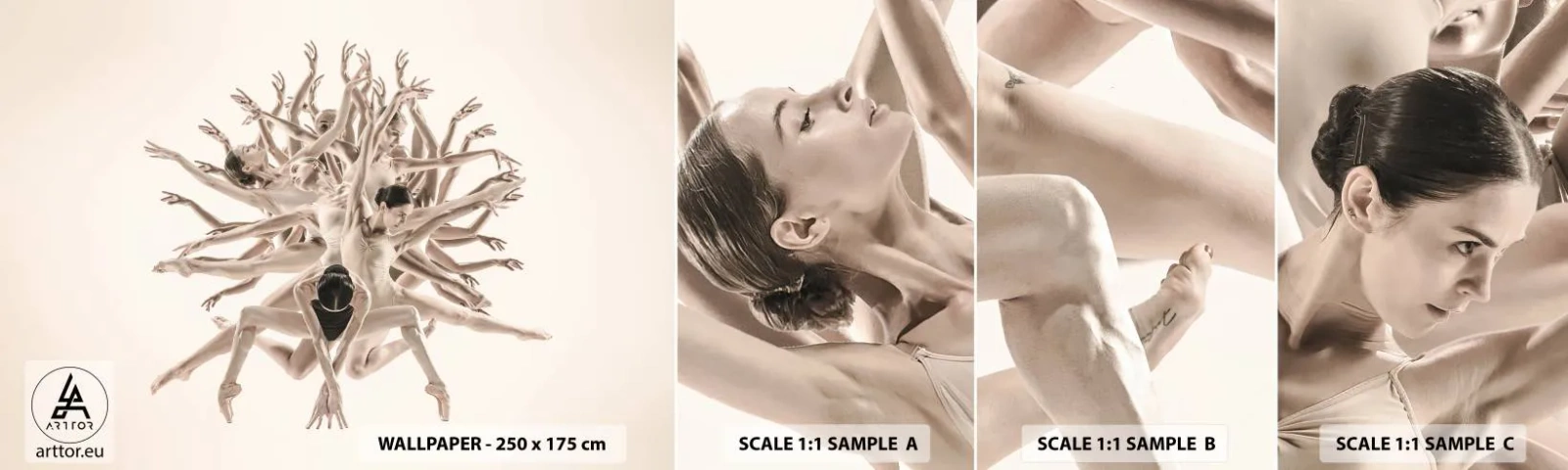 Fotobehang Monster Zelfklevend Deluxe Sticker - Bloeiend in dans - Abstractie, Deel, Ballet - 100x30 cm