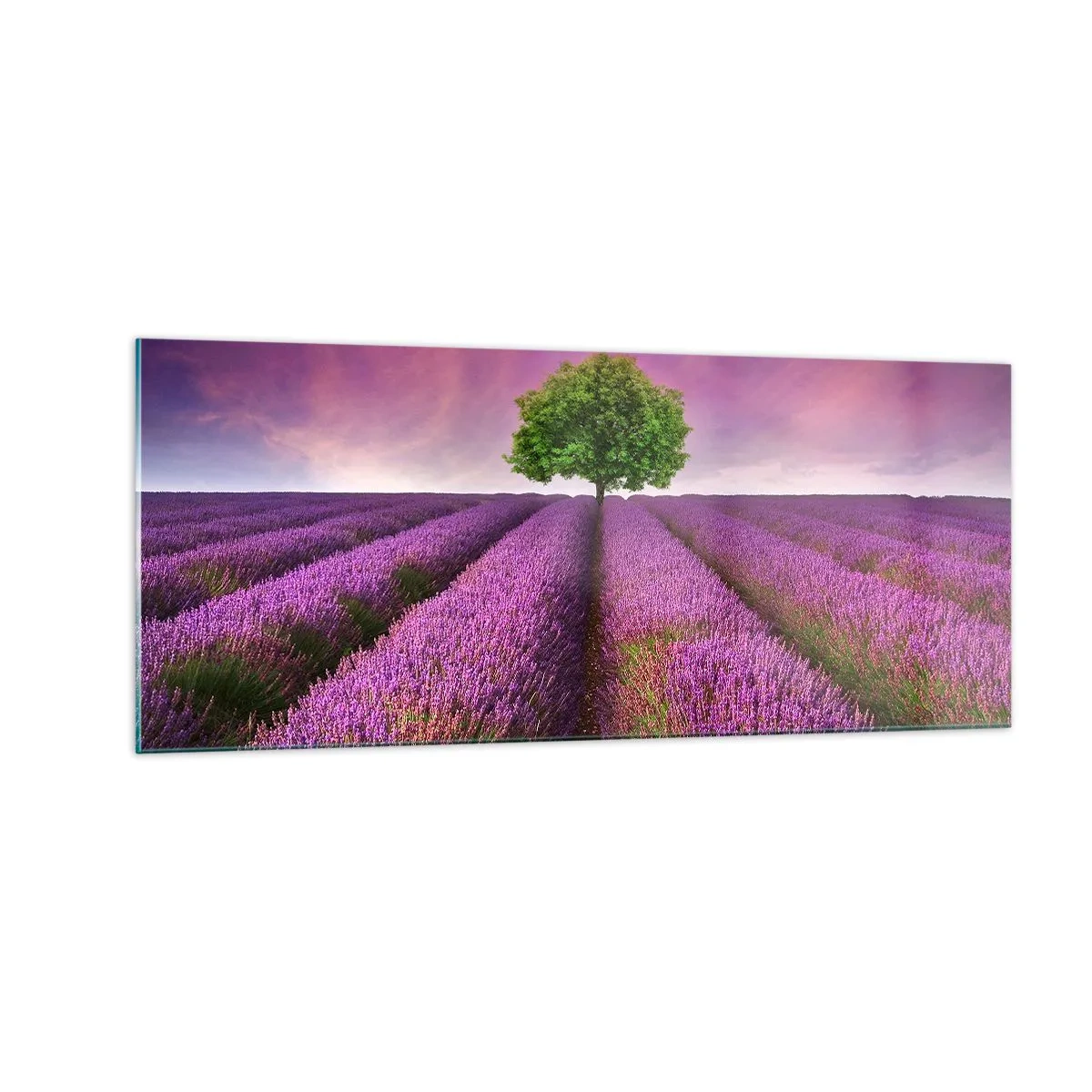 Schilderen op glas - Op lavendelvelden - 100x40 cm