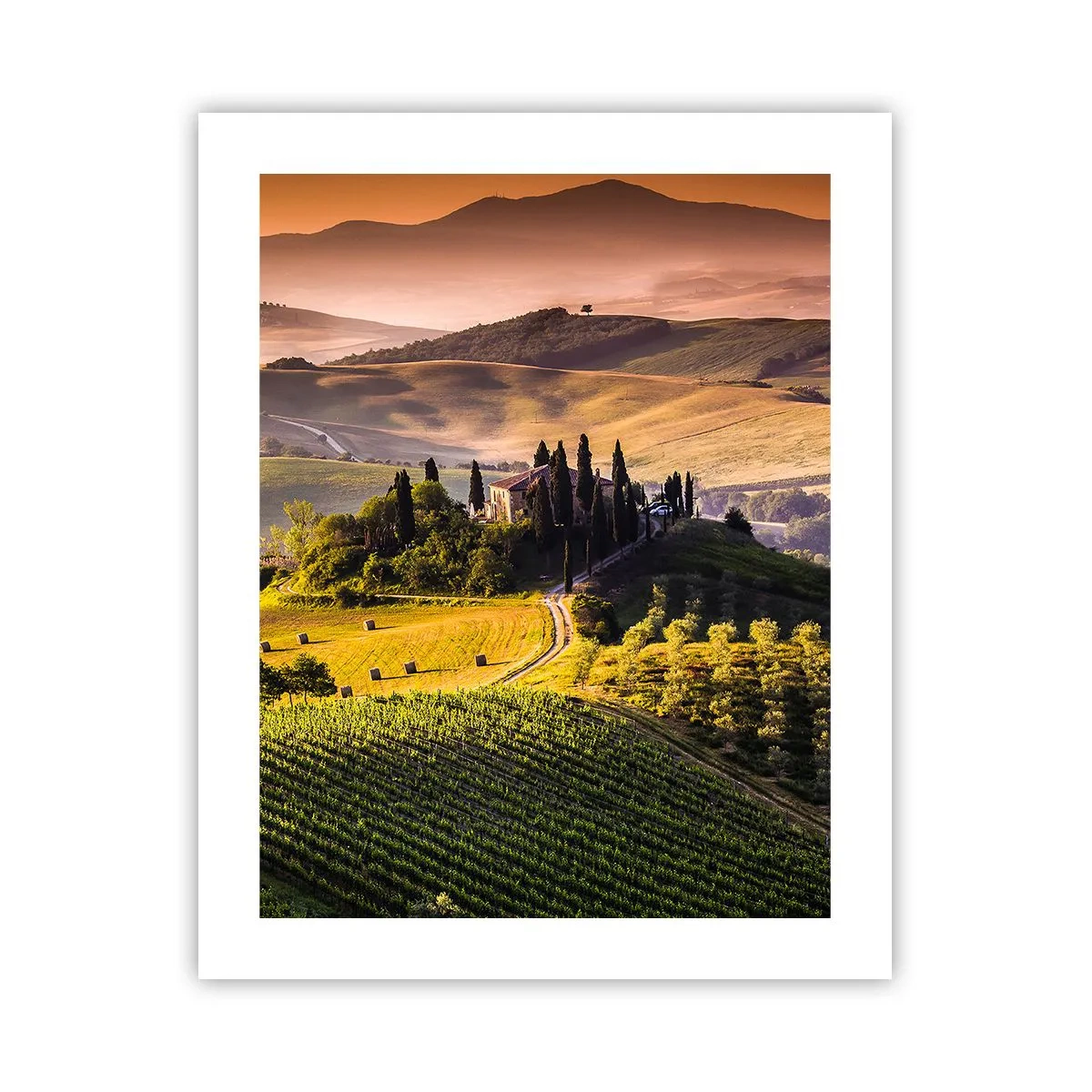 Poster - Arcadia - het Toscaanse landschap - 40x50 cm