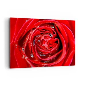 Schilderen op canvas - In de dauwdruppels - 100x70 cm