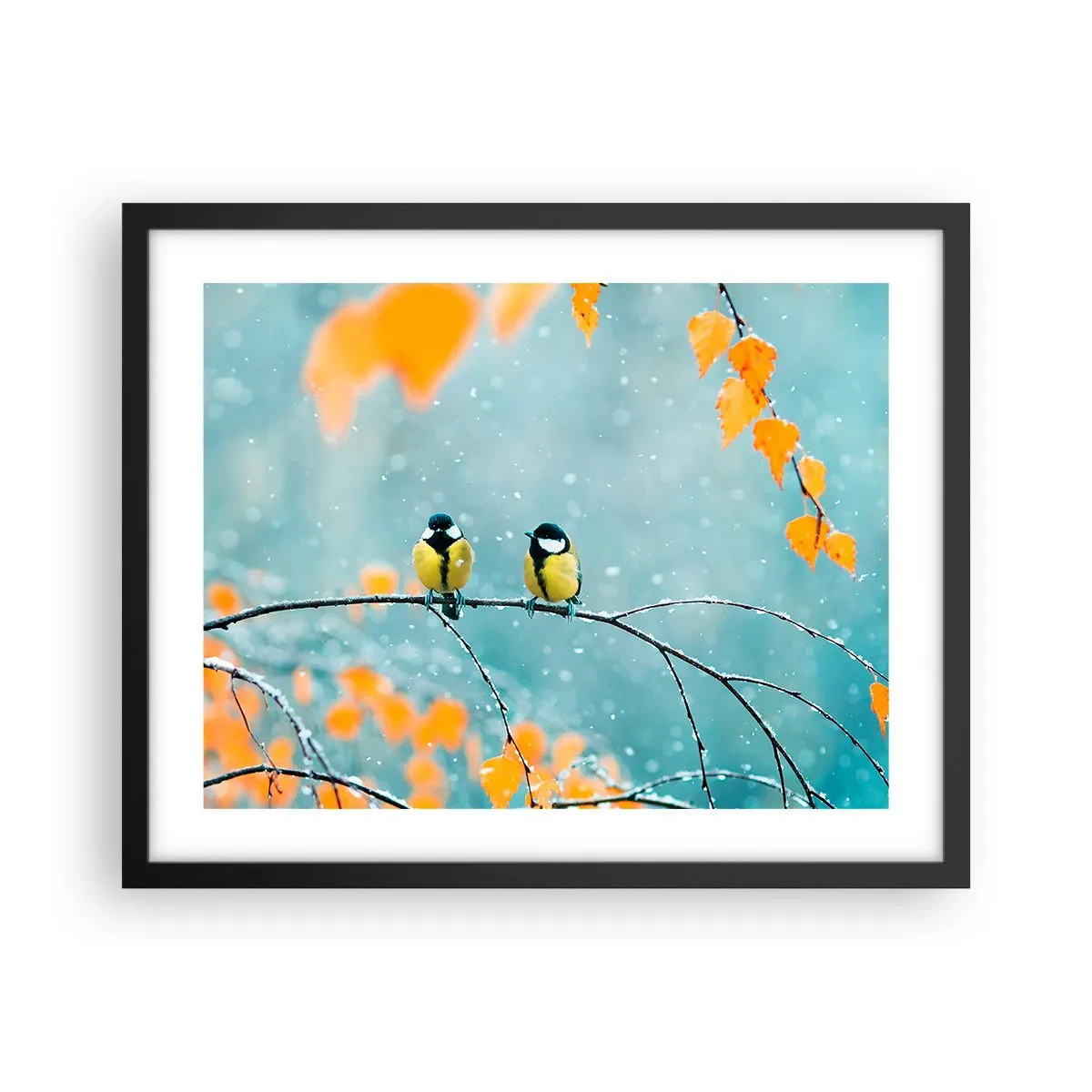 Poster in een zwarte lijst - Vogelroddel - 50x40 cm