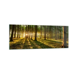 Schilderen op glas - Foto van de hele lente - 140x50 cm