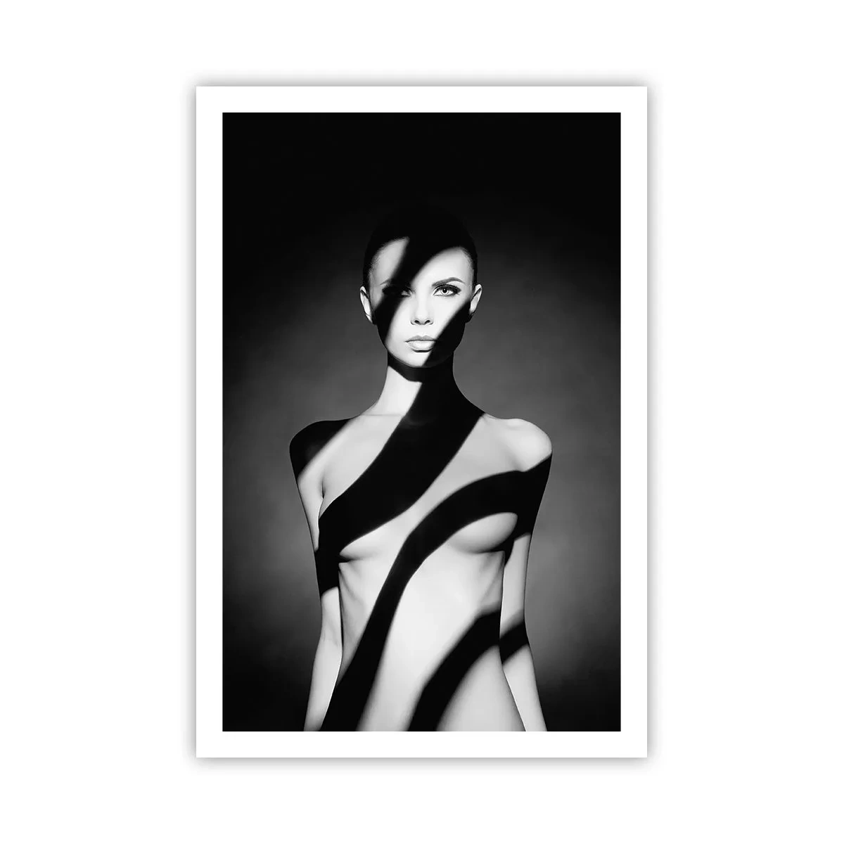 Poster - In glans en schaduw - 61x91 cm