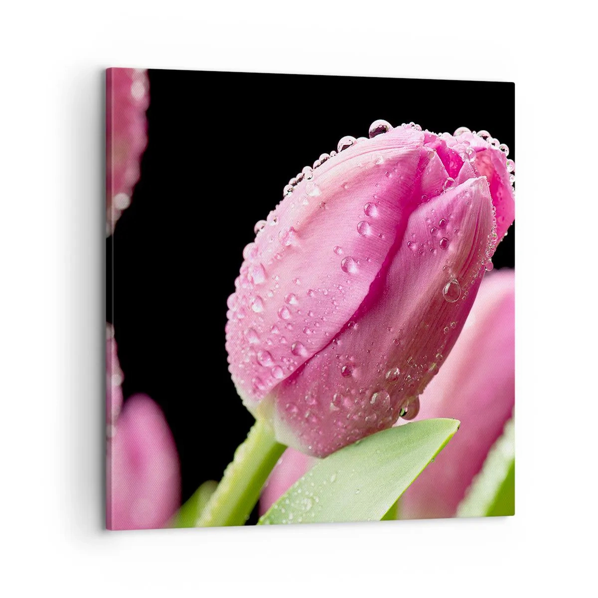 Schilderen op canvas - Lila droom in dauw - 60x60 cm