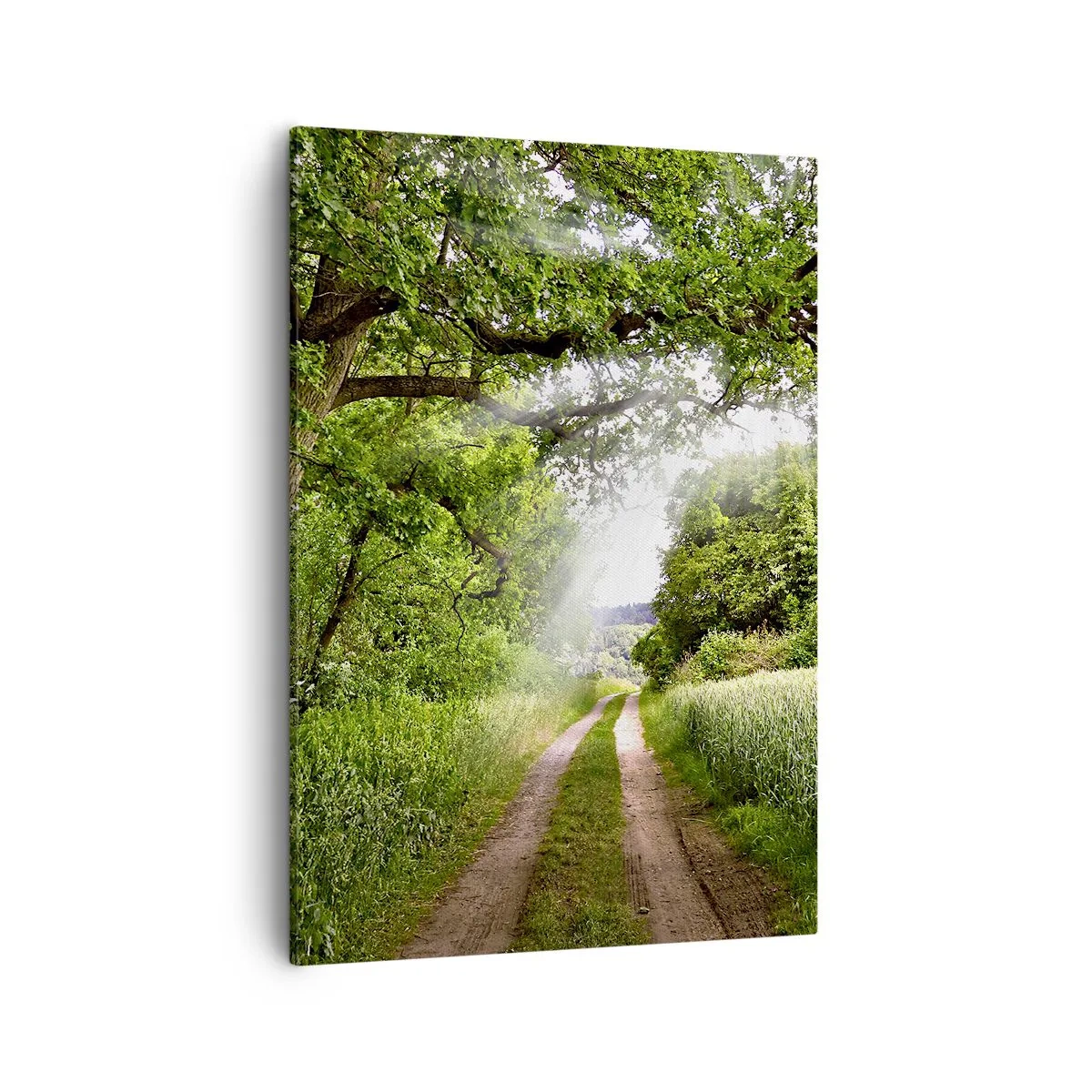 Schilderen op canvas - Et in Arcadia ego - 50x70 cm