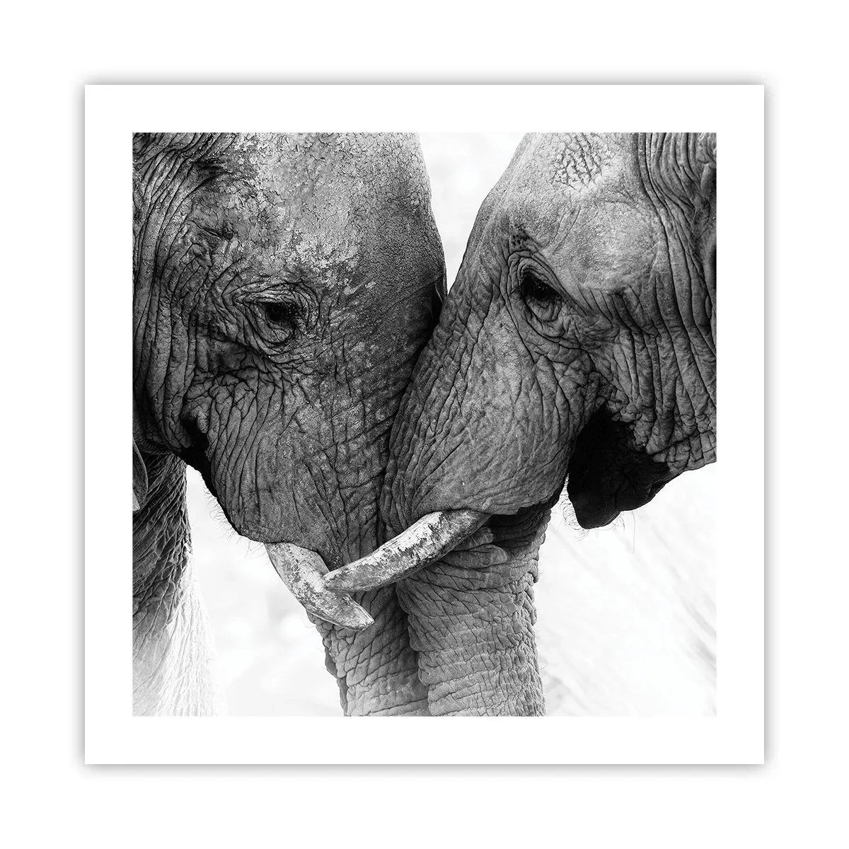 Poster - Oprechte bekentenis - 50x50 cm