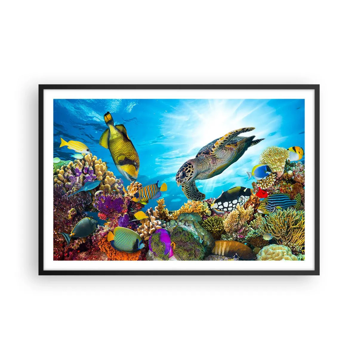 Poster in een zwarte lijst - Koraalpromenade - 91x61 cm